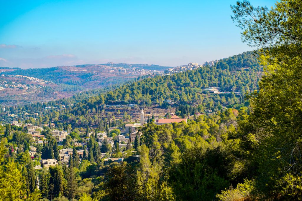 ג'ורג' ורור - פרופיל איש עסקים ויזם בינלאומי