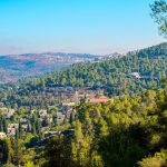 ג'ורג' ורור - פרופיל איש עסקים ויזם בינלאומי