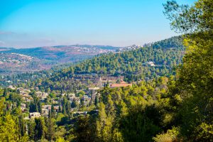 ג'ורג' ורור - פרופיל איש עסקים ויזם בינלאומי